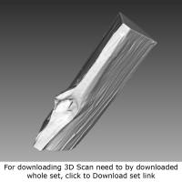 3D Scan of Log Wood